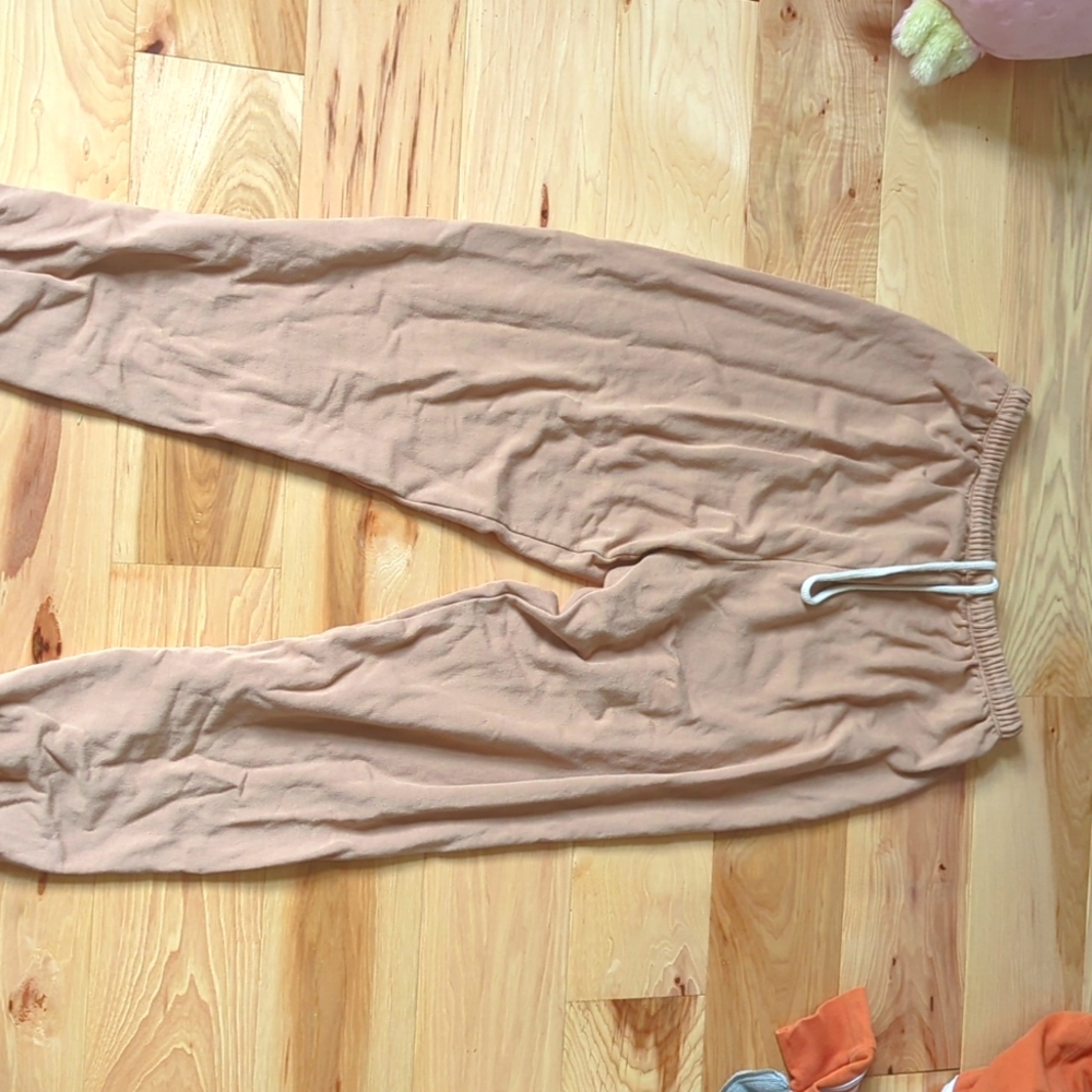 Aerie sweat pants